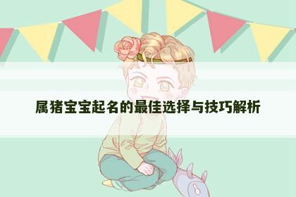 属猪宝宝起名的最佳选择与技巧解析