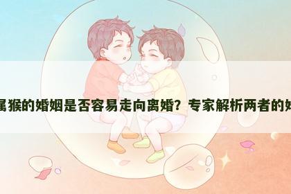 属虎与属猴的婚姻是否容易走向离婚？专家解析两者的婚配关系