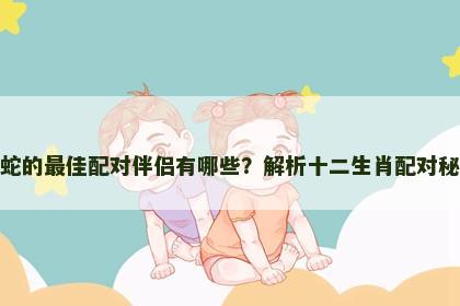 属蛇的最佳配对伴侣有哪些？解析十二生肖配对秘诀