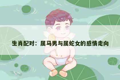 生肖配对：属马男与属蛇女的感情走向