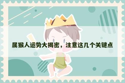 属猴人运势大揭密，注意这几个关键点