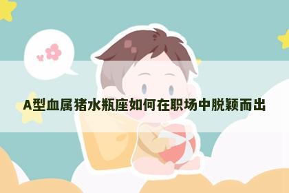 A型血属猪水瓶座如何在职场中脱颖而出