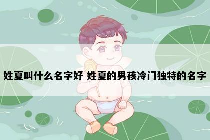 姓夏叫什么名字好 姓夏的男孩冷门独特的名字